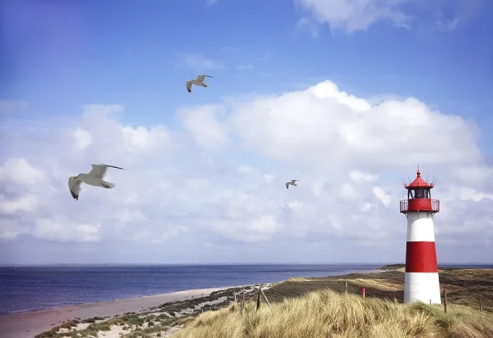 Gerahmter Druck : Leuchtturm und Dünen an der Ellenbogen. Gerahmter Druck : Leuchtturm und Dünen an der Ellenbogen.