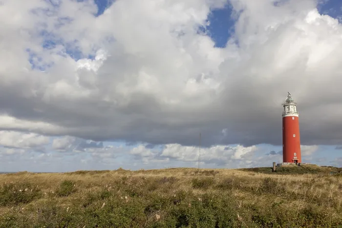 Gerahmter Druck : Leuchtturm Eierland mit Dünen. Gerahmter Druck : Leuchtturm Eierland mit Dünen.