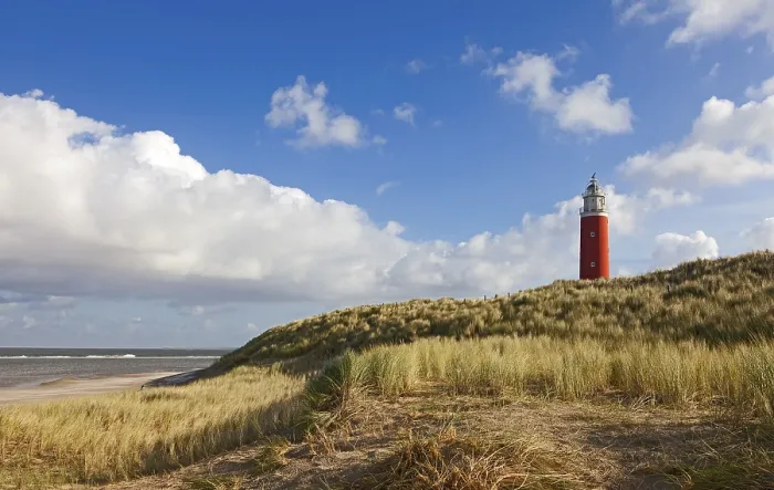 Gerahmter Druck : Leuchtturm Eierland mit Dünen Gerahmter Druck : Leuchtturm Eierland mit Dünen