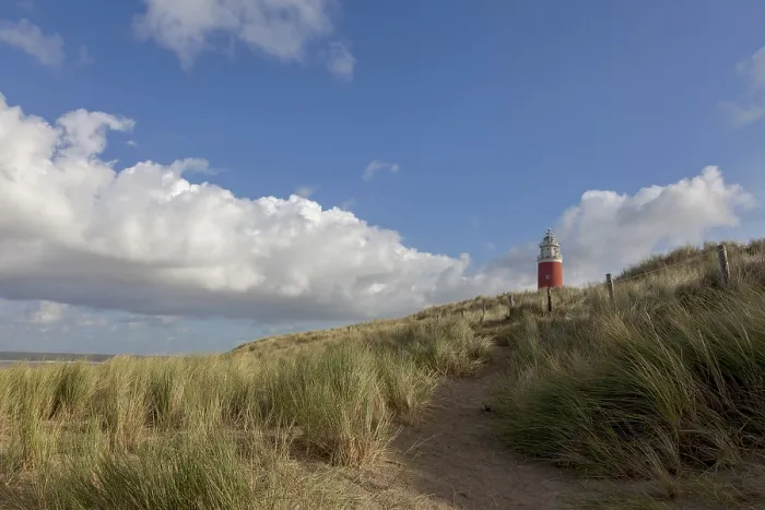 Gerahmter Druck : Leuchtturm Eierland mit Dünen. Gerahmter Druck : Leuchtturm Eierland mit Dünen.