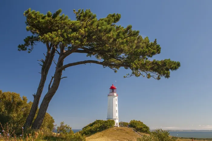 Gerahmter Druck : Leuchtturm auf der Insel Hiddensee. Gerahmter Druck : Leuchtturm auf der Insel Hiddensee.