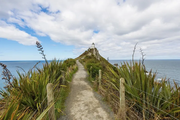 Gerahmter Druck : Leuchtturm bei Nugget Point, Catlins. Gerahmter Druck : Leuchtturm bei Nugget Point, Catlins.