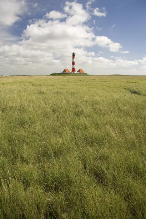 Gerahmter Druck : Leuchtturm an Westerhever, Eiderstedter Halbinsel Gerahmter Druck : Leuchtturm an Westerhever, Eiderstedter Halbinsel