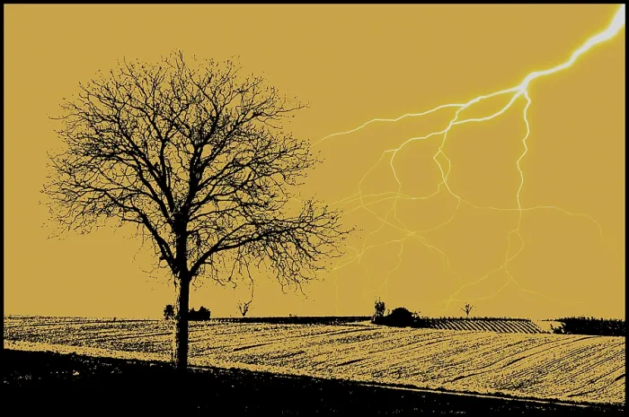 Gerahmter Druck : Blitz und Baum Gerahmter Druck : Blitz und Baum