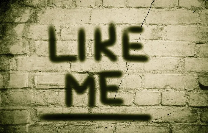 Gerahmter Druck : Like Me Concept Gerahmter Druck : Like Me Concept