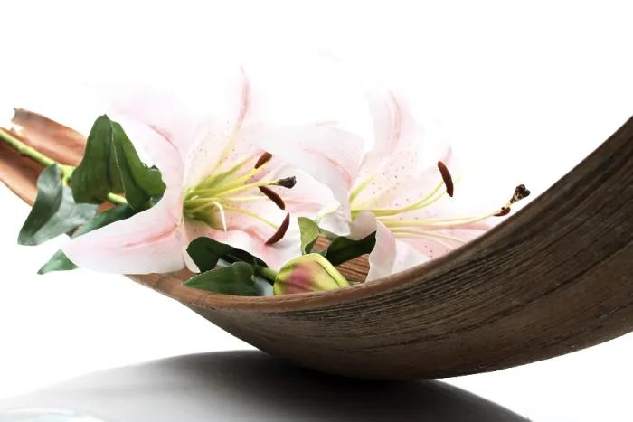 Gerahmter Druck : Lily in Palmblatt Gerahmter Druck : Lily in Palmblatt