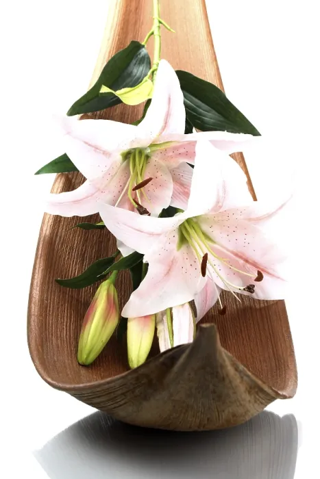 Gerahmter Druck : Lily auf Palmblatt. Gerahmter Druck : Lily auf Palmblatt.