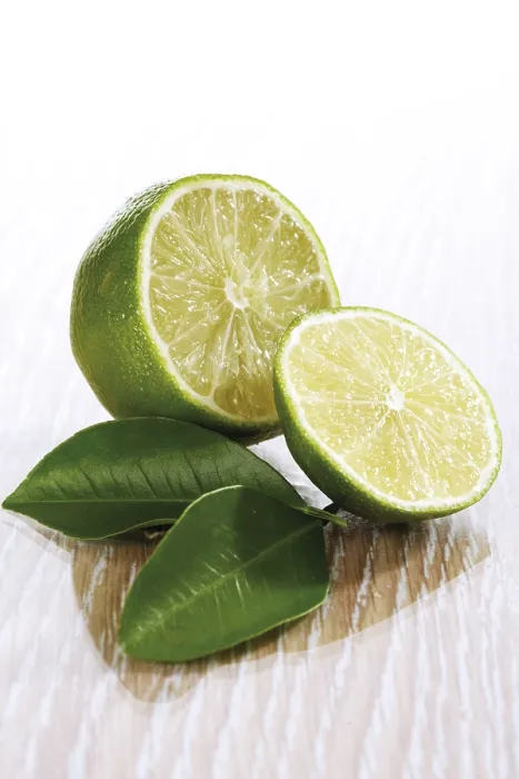 Gerahmter Druck : Zitrone (Citrus) Gerahmter Druck : Zitrone (Citrus)
