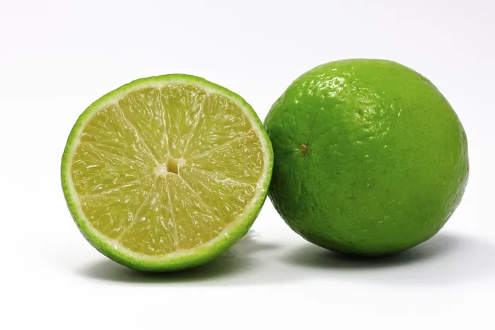 Gerahmter Druck : Limes Gerahmter Druck : Limes