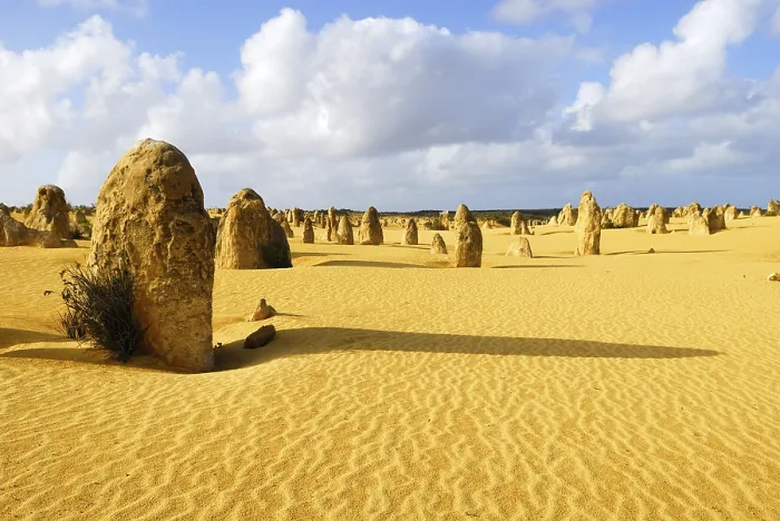 Gerahmter Druck : Kalkstein-Säulen, Pinnacles-Wüste Gerahmter Druck : Kalkstein-Säulen, Pinnacles-Wüste