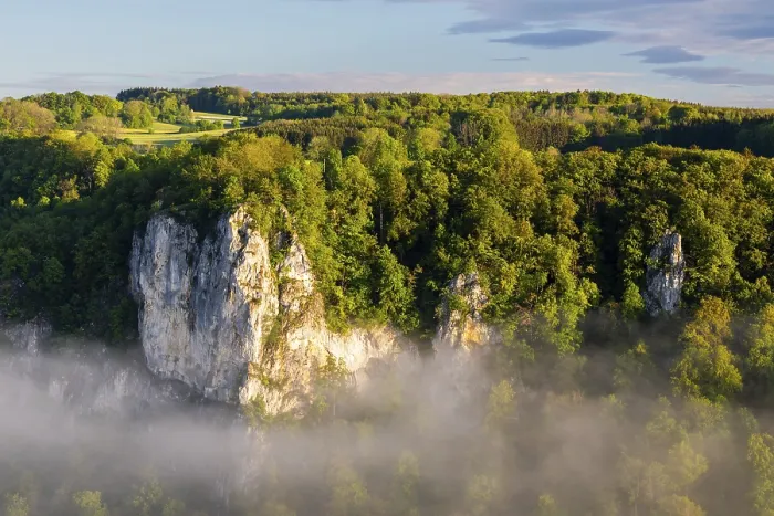 Gerahmter Druck : Kalkstein zwischen gemischter Wald. Gerahmter Druck : Kalkstein zwischen gemischter Wald.