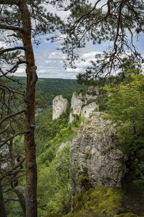 Gerahmter Druck : Kalksteinfelsen, Obere Donau Ebene Gerahmter Druck : Kalksteinfelsen, Obere Donau Ebene