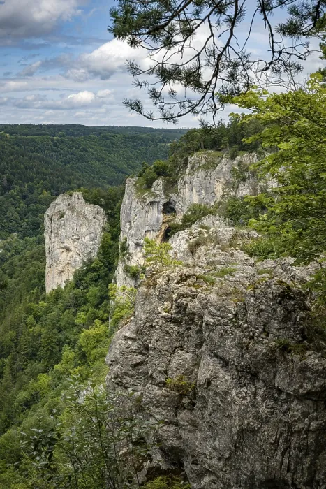 Gerahmter Druck : Kalksteinfelsen, Oberer Donautal. Gerahmter Druck : Kalksteinfelsen, Oberer Donautal.