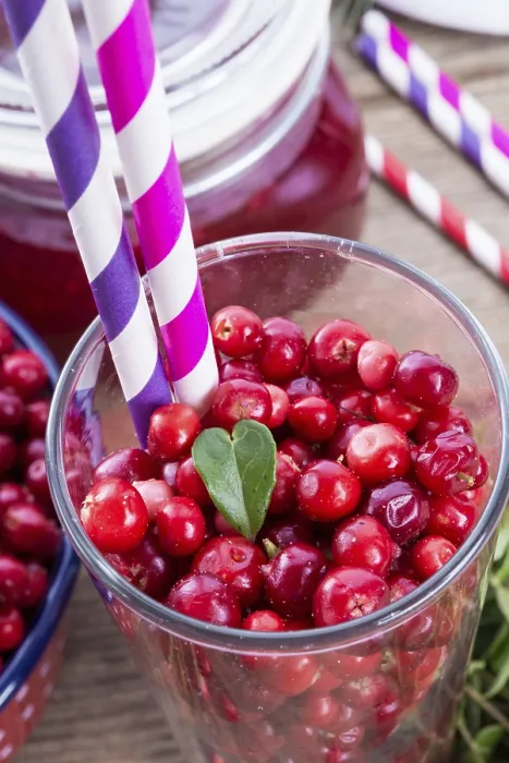 Gerahmter Druck : Lingonberries Gerahmter Druck : Lingonberries