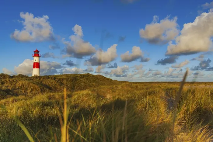Gerahmter Druck : Das Leuchtturm Lister bei Ellenbogen. Gerahmter Druck : Das Leuchtturm Lister bei Ellenbogen.