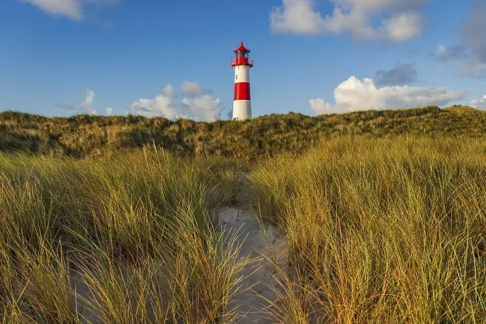Gerahmter Druck : Das Leuchtturm Lister bei Ellenbogen. Gerahmter Druck : Das Leuchtturm Lister bei Ellenbogen.