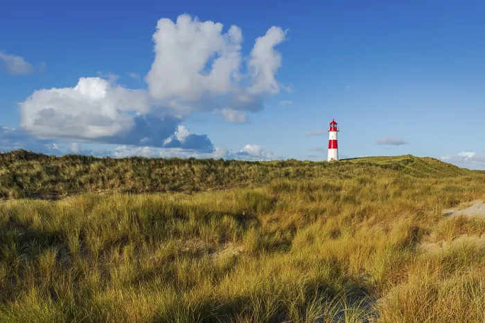 Gerahmter Druck : Das Leuchtturm Lister bei Ellenbogen. Gerahmter Druck : Das Leuchtturm Lister bei Ellenbogen.