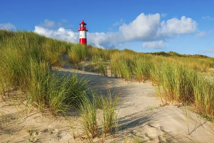 Gerahmter Druck : Das Leuchtturm Lister bei Ellenbogen. Gerahmter Druck : Das Leuchtturm Lister bei Ellenbogen.