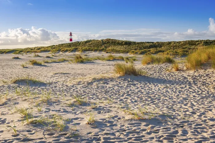 Gerahmter Druck : Das Leuchtturm Lister bei Ellenbogen. Gerahmter Druck : Das Leuchtturm Lister bei Ellenbogen.