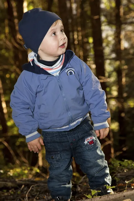 Gerahmter Druck : Kleiner Junge im Wald. Gerahmter Druck : Kleiner Junge im Wald.