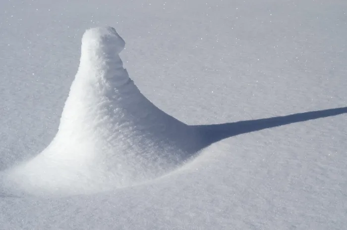 Gerahmter Druck : Ein kleiner Schneebedeckter Baum. Gerahmter Druck : Ein kleiner Schneebedeckter Baum.