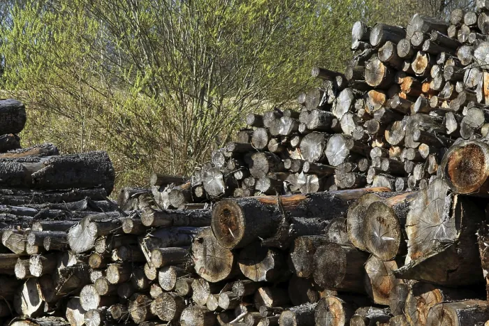 Gerahmter Druck : Holzstapel, Holzstapel. Gerahmter Druck : Holzstapel, Holzstapel.