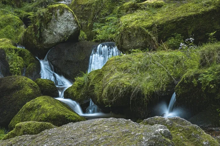 Gerahmter Druck : Lohnregen mit wenig Wasser. Gerahmter Druck : Lohnregen mit wenig Wasser.