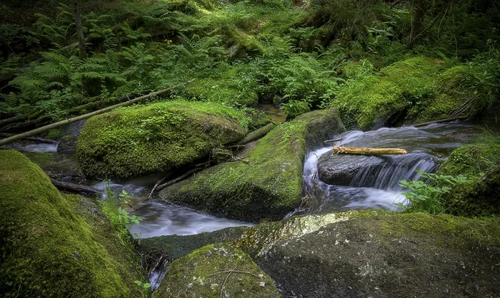 Gerahmter Druck : Lohnbachfall, Pretrobruck, Rappottenstein Gerahmter Druck : Lohnbachfall, Pretrobruck, Rappottenstein