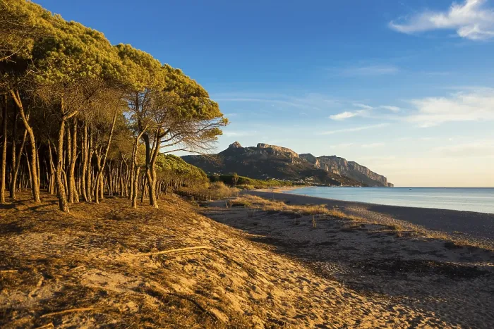 Gerahmter Druck : Ein einsamer Sandstrand und ein Kiefernwald. Gerahmter Druck : Ein einsamer Sandstrand und ein Kiefernwald.