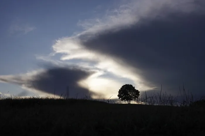 Gerahmter Druck : Ein einsamer Baum vor einem dramatischen Himmel. Gerahmter Druck : Ein einsamer Baum vor einem dramatischen Himmel.