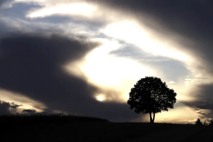 Gerahmter Druck : Ein einsamer Baum vor einem dramatischen Himmel.