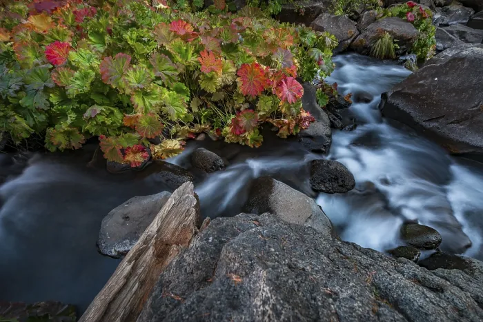 Gerahmter Druck : Langfristiges Bild, McCloud River.