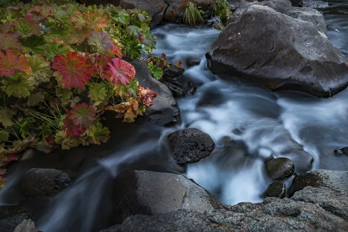 Gerahmter Druck : Langfristige Bild, McCloud River