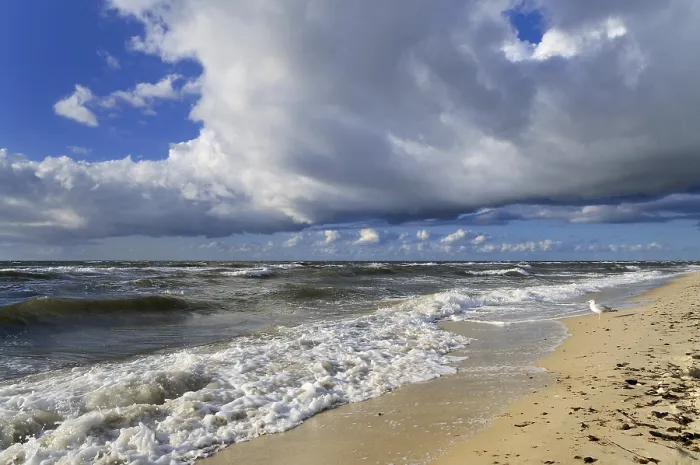 Gerahmter Druck : Dünne Wolken über der westlichen Strand. Gerahmter Druck : Dünne Wolken über der westlichen Strand.