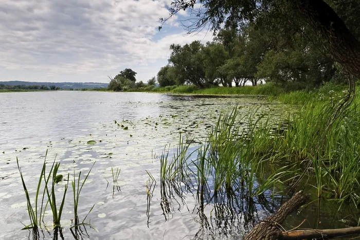 Gerahmter Druck : Naturpark Unteres Odertal