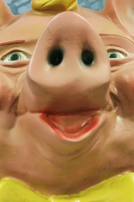 Gerahmter Druck : Glückschwein Gerahmter Druck : Glückschwein