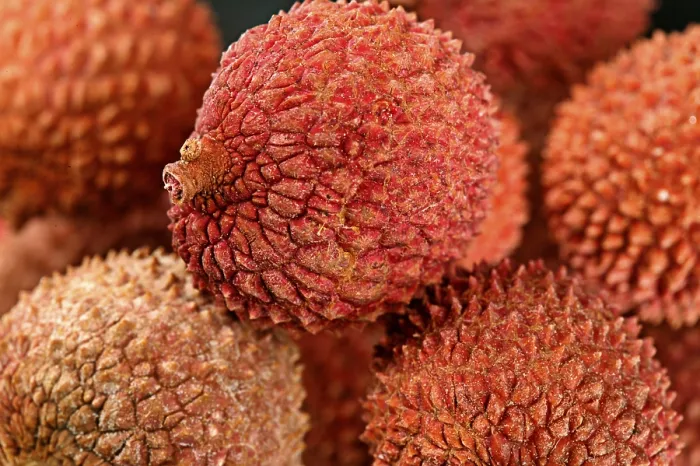 Gerahmter Druck : Lychee Gerahmter Druck : Lychee