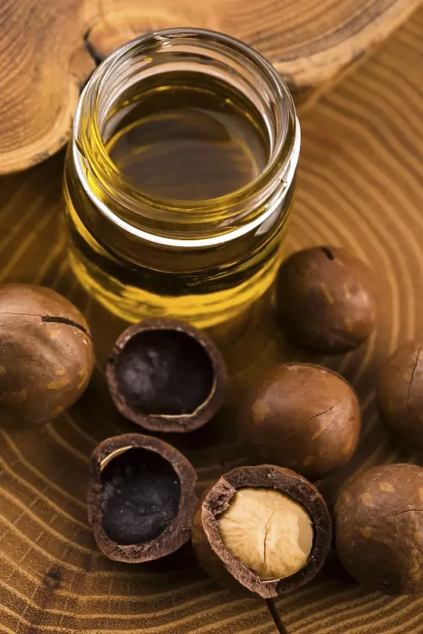Gerahmter Druck : Macadamia-Nussöl Gerahmter Druck : Macadamia-Nussöl