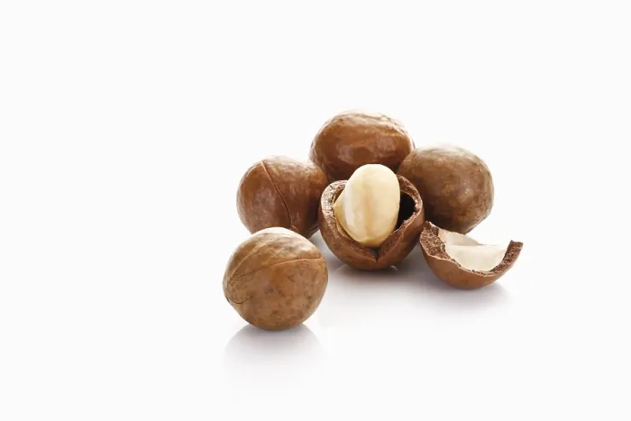 Gerahmter Druck : Geöffnete Macadamia-Nüsse Gerahmter Druck : Geöffnete Macadamia-Nüsse