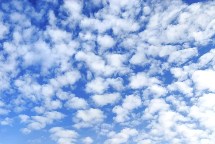 Gerahmter Druck : Makrelenwolken (Altocumulus) Gerahmter Druck : Makrelenwolken (Altocumulus)