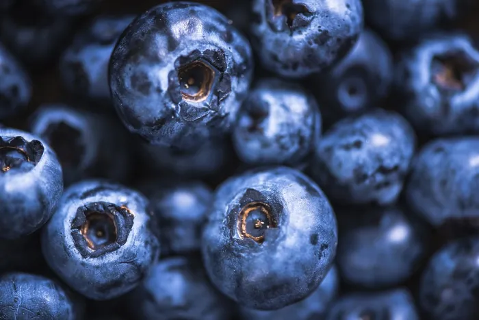 Gerahmter Druck : Makroansicht frische Blaubeeren Gerahmter Druck : Makroansicht frische Blaubeeren