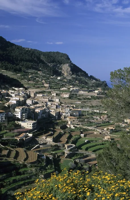 Gerahmter Druck : Mallorca Banyalbufar Gerahmter Druck : Mallorca Banyalbufar