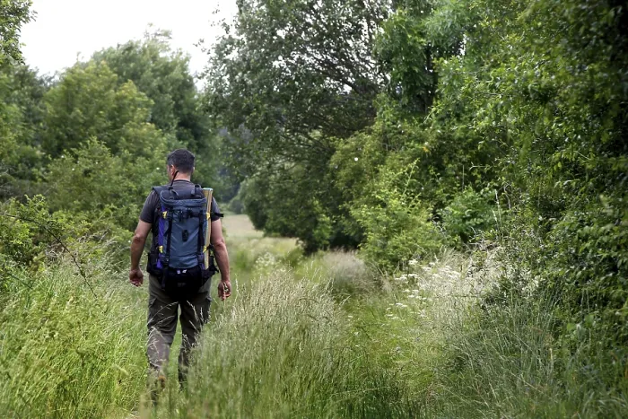 Gerahmter Druck : Mann mit Rucksack, Wanderer im Grenzdreieck. Gerahmter Druck : Mann mit Rucksack, Wanderer im Grenzdreieck.