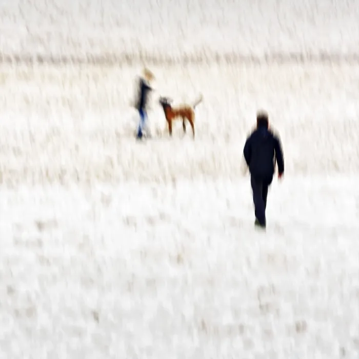 Gerahmter Druck : Ein Mann mit Kind und Hund am Strand in Schleswig-Holstein, Deutschland. Gerahmter Druck : Ein Mann mit Kind und Hund am Strand in Schleswig-Holstein, Deutschland.