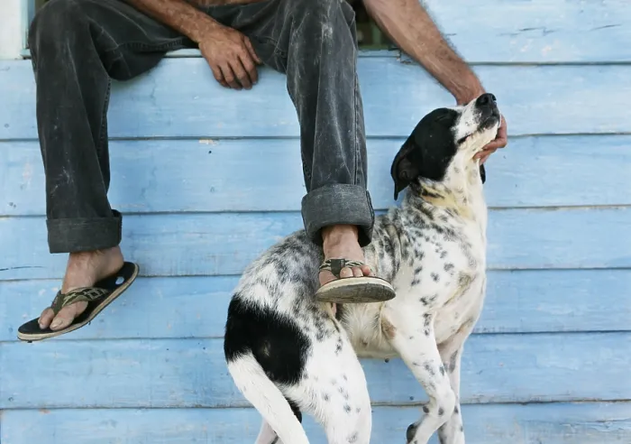 Gerahmter Druck : Mann mit seinem Hund. Gerahmter Druck : Mann mit seinem Hund.