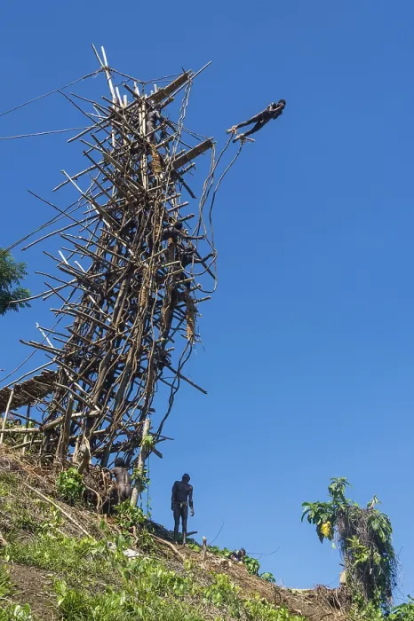 Gerahmter Druck : Ein Mann springt von einem Bambus-Turm. Gerahmter Druck : Ein Mann springt von einem Bambus-Turm.
