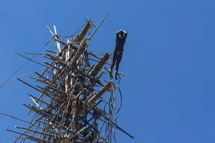Gerahmter Druck : Ein Mann springt von einem Bambus-Turm. Gerahmter Druck : Ein Mann springt von einem Bambus-Turm.