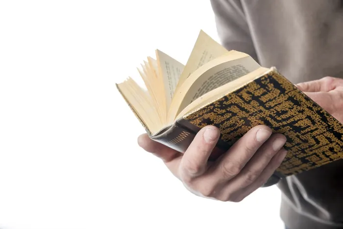Gerahmter Druck : Ein Buch durchblätternd. Gerahmter Druck : Ein Buch durchblätternd.