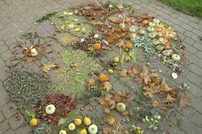 Gerahmter Druck : Naturmuster-Mandala Gerahmter Druck : Naturmuster-Mandala