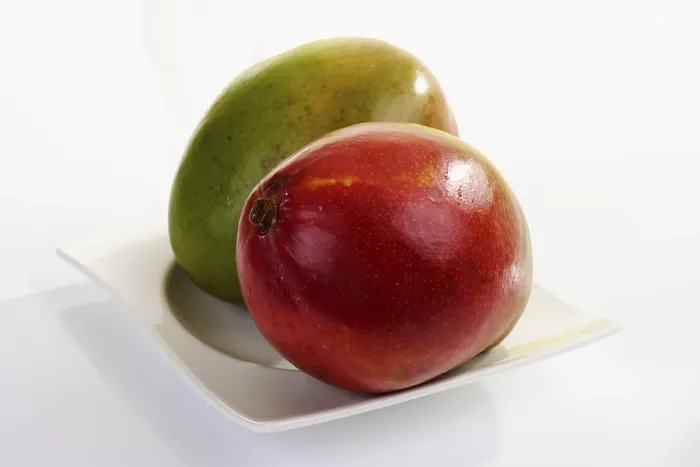 Gerahmter Druck : Mango (Mangifera indica) Gerahmter Druck : Mango (Mangifera indica)